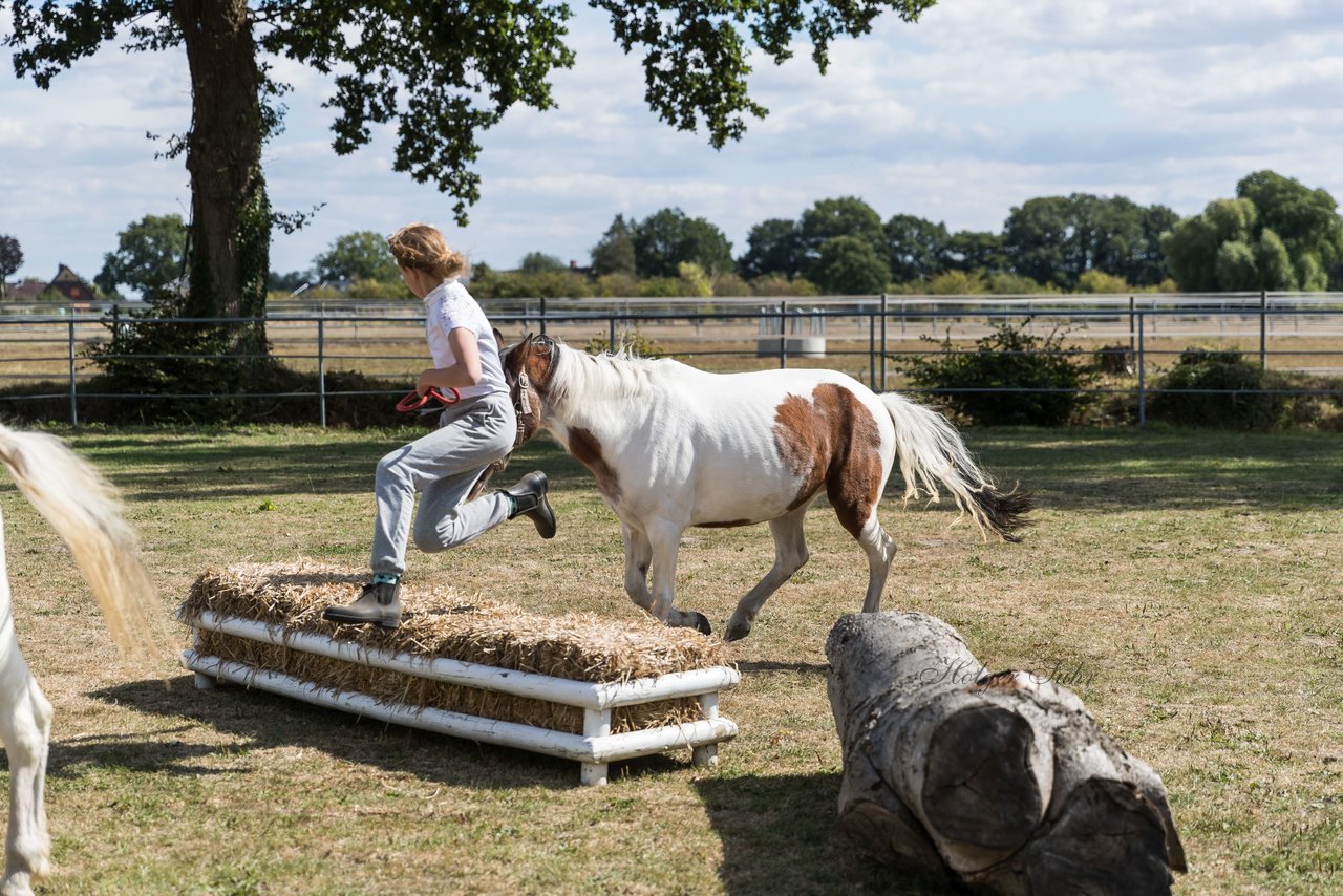 Bild 53 - Pony Akademie Turnier